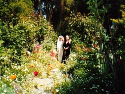 Picture of same garden in spring