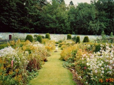 Picture of balance in herbaceous planting
