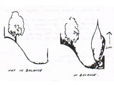 Diagram of balance and height