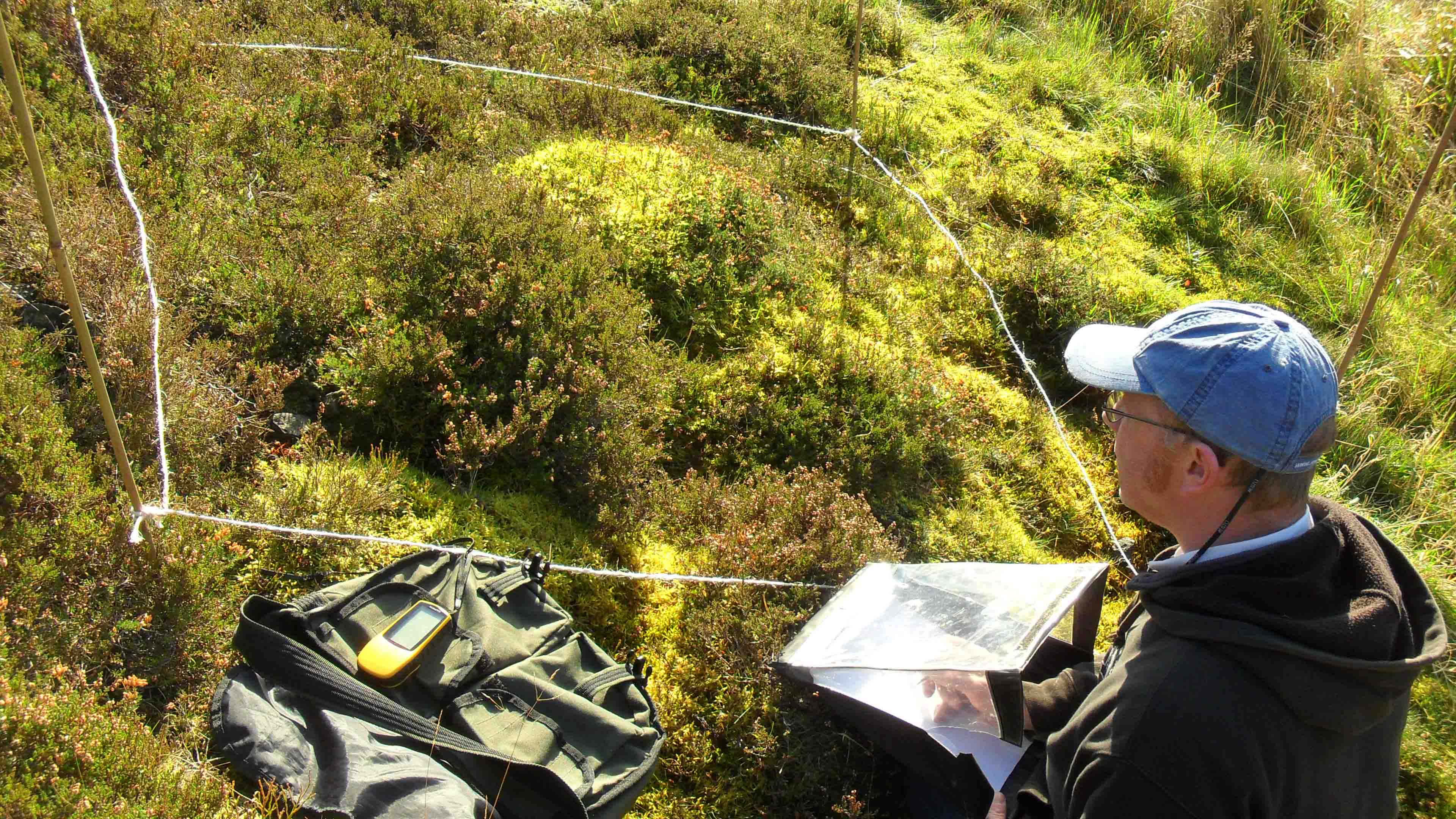 Vegetation Surveys For Council Planning Permission Abben Art