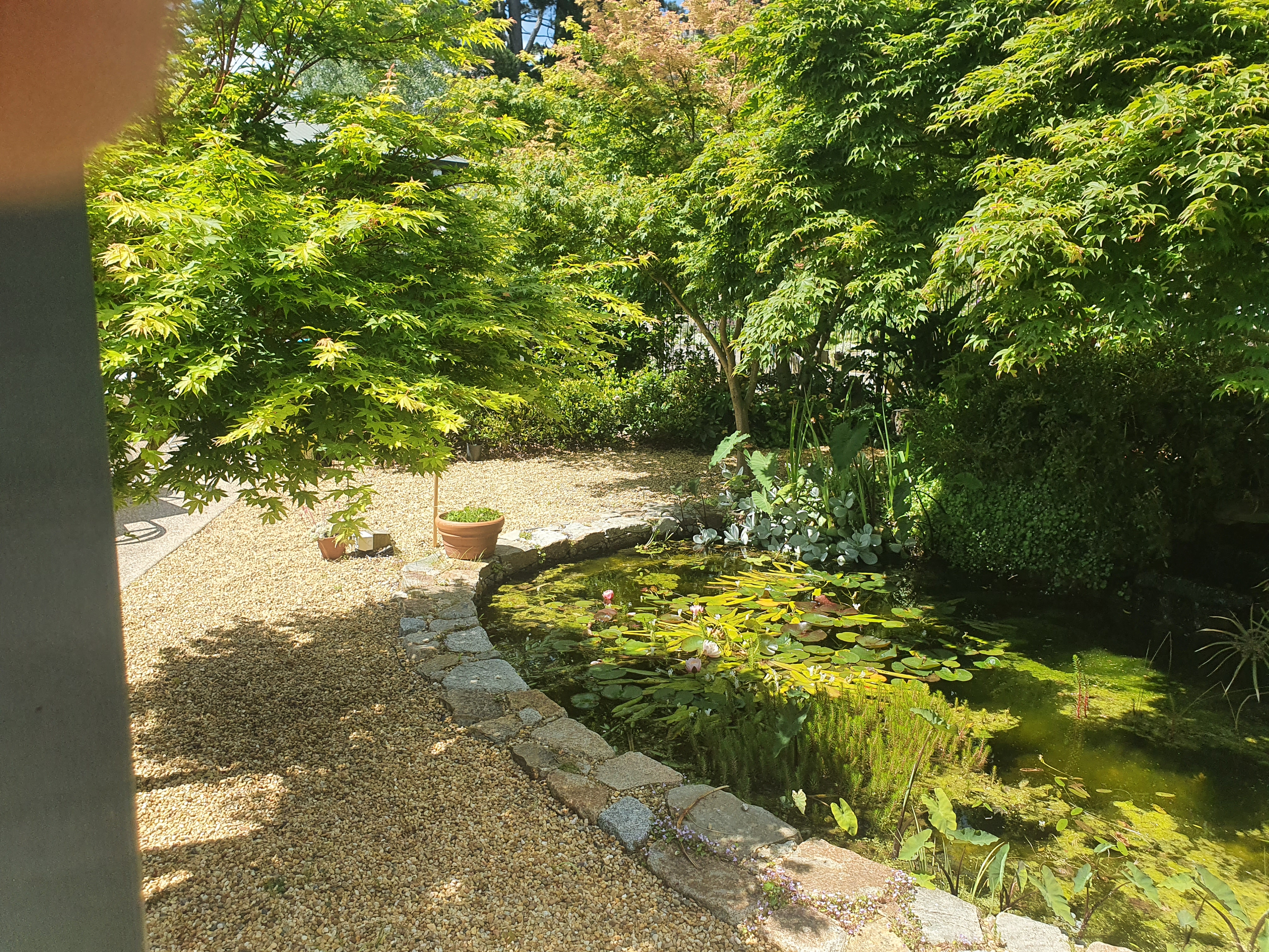 Franston South Garden Design & landscaping